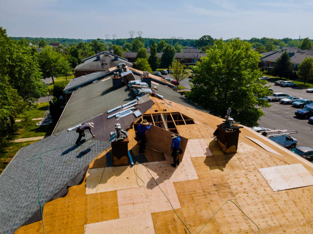 Best Storm Damage Roof Repair  in Naples, UT
